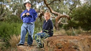 View birds in the bush along Toolern Creek