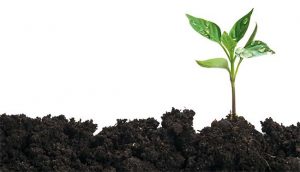 Melton council projects win green awards