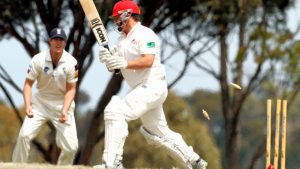 VSDCA: Melton Lions pay for abysmal first innings