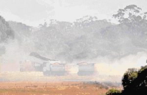 Locals kick up stink on odour