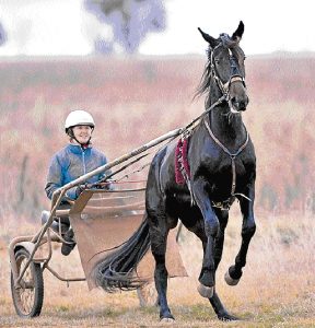 Tabcorp Park upgrade helps harness tourism dollar