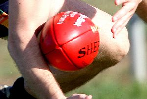 RDFL: Burras solve Riddell for second on trot
