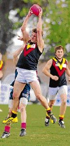 BFL: Panthers mesmerise Cobras