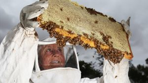 A celebration of the sweet life in Diggers Rest