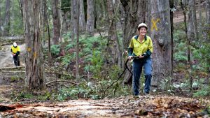 Fireys get down to work across Moorabool