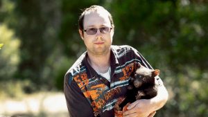 Call out for pets to help injured, sick, orphaned wildlife