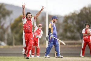Bowlers pull the thorn to save limping Lions