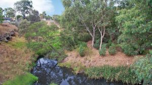 Horse paddock sells for $13m