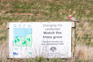 Pests of the west campaign