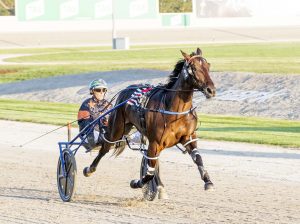 Winning debut for Stanley filly Soho Almasi