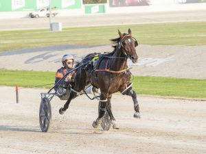 Winning debut for Soho