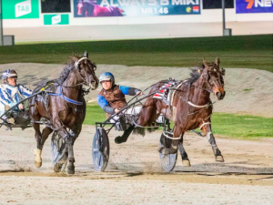 Riding high at Melton