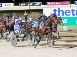 Ride High breaks records