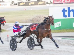 Jacks Hawk joins winners list