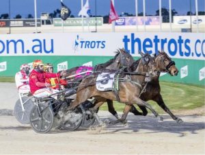 Emotional win for Pink Galahs
