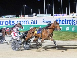 Big week for Stewart