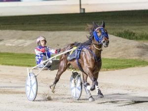Majestuoso stamps himself as the next trotting superstar