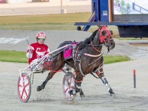 Big-hearted filly comes through