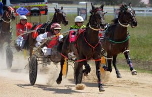 Horse doping ban upheld