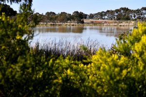 Spring into gardens for stunning show