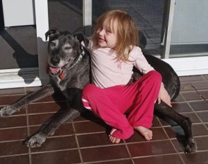 Doggy love getting us through ’ruff’ times