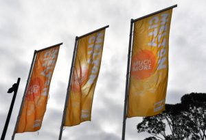 Council to investigate COVID-19 impact on homelessness