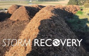 Moorabool keen for storm clean up