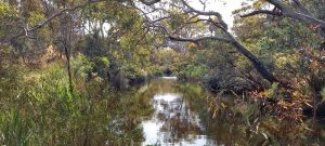 Free screening of Moorabool River film