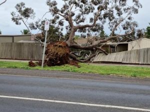 Storm weather shakes Melton, Moorabool