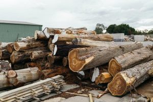 Native timber industry good for all: Timber Towns