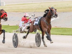 Lilley-Alford double as Zeus and Queen crowned