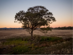 Landmark opportunity for new memorial park