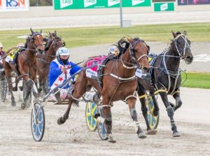 Kate and Andy riding Wave of success