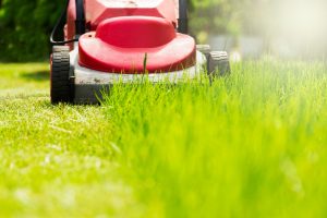 Free green waste disposal this summer for Melton