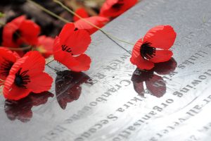 Support for veterans through new funded programs