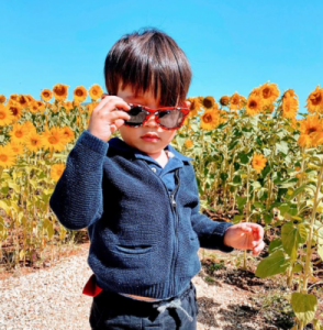 Woodlea Estate is “bringing back the blooms”