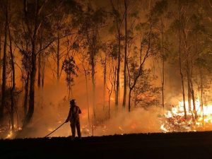 Melton fire danger period starting soon