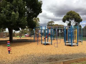 Outdoor exercise equipment at Darley Park