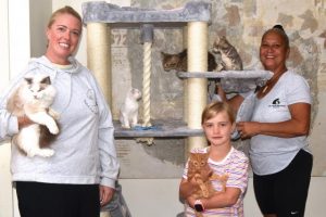 Sally and Amy to the rescue