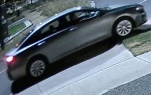 Cobblebank residents suffer alleged aggravated burglary and thefts