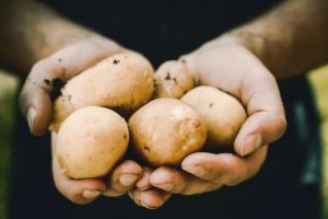 Consumer trends drive up hot potato sales