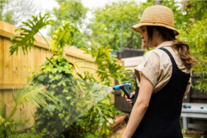 Four easy ways to save water around your garden