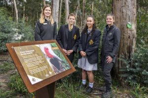 Bacchus Marsh students help to protect habitats