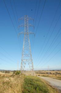 AusNet responds to council call for timeline updates