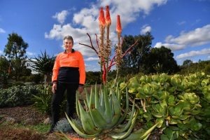 My Place: Barbara Frampton