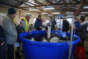 Open day at Snobs Creek Hatchery
