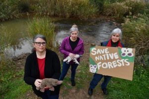 Environmental group warns of threat to local wildlife