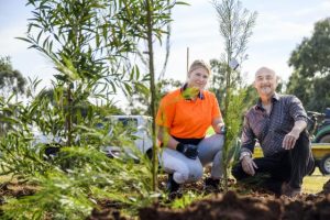 More trees for Melton