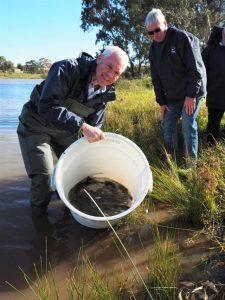 Local waters ready for holiday fishing