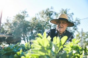 Grants up for grabs for community environment groups